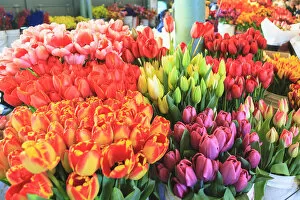 Images Dated 23rd April 2011: Flowers for sale at Pike Place Market in late spring, Seattle, Washington State, USA