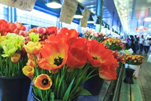 Images Dated 23rd April 2011: Flowers for sale at Pike Place Market in Late Spring, Seattle, Washington State