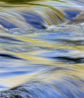 Flowing water and spring colors reflected on stream, Great Smoky Mountains National Park Flowing water and spring colors reflected on stream, Great Smoky Mountains National Park