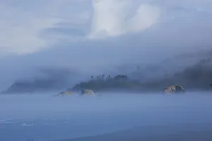Foggy morning along the coastline, Cannon Beach, Oregon Foggy morning along the coastline, Cannon Beach, Oregon