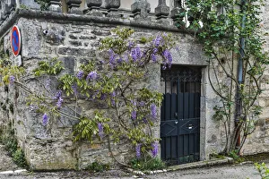 France, Cajarc. Wisteria covered stone wall and doorway France, Cajarc. Wisteria covered stone wall and doorway