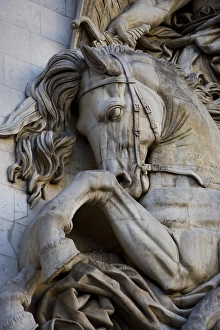 France, Paris. Horse head detail on the Arc de Triomphe France, Paris. Horse head detail on the Arc de Triomphe