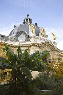 France, Paris, Petit Palais museum, courtyard detail France, Paris, Petit Palais museum, courtyard detail