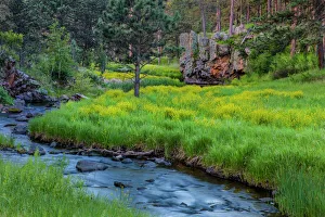 French Creek in the Black Hills of Custer State Park, South Dakota, USA French Creek in the Black Hills of Custer State Park, South Dakota, USA