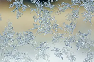 <b class=qtipBold><figcaption>Frost pattern on window</figcaption></b><br>Frost pattern on window.<br><em>© Copyright Adam Jones / Danita Delimont</em> Frost pattern on window