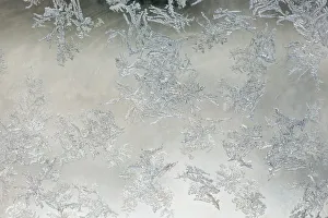 <b class=qtipBold><figcaption>Frost pattern on window</figcaption></b><br>Frost pattern on window.<br><em>© Copyright Adam Jones / Danita Delimont</em> Frost pattern on window