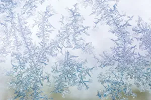 <b class=qtipBold><figcaption>Frost pattern on window</figcaption></b><br>Frost pattern on window.<br><em>© Copyright Adam Jones / Danita Delimont</em> Frost pattern on window