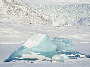 Vatnajokull Gallery: Frozen glacial lake Fjallsarlon in Vatnajokull National Park view towards glacier