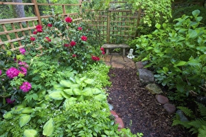 Garden designs and pathway in shade garden - in our Garden Sammamish, Washington Garden designs and pathway in shade garden - in our Garden Sammamish, Washington