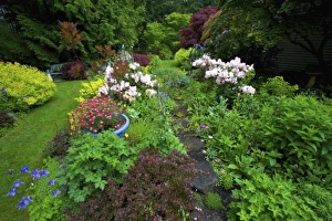 Garden path designs in our Garden Sammamish, Washington Garden path designs in our Garden Sammamish, Washington