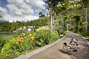 The gardens of Schloss Trauttmansdorff. they are considered to be among the finest The gardens of Schloss Trauttmansdorff. they are considered to be among the finest