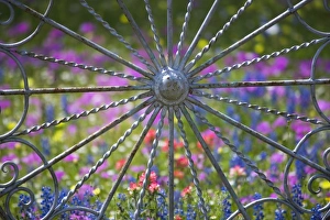 Gate and Fence made out of metal in the design of wheels with backdrop of Texas Wildflowers Gate and Fence made out of metal in the design of wheels with backdrop of Texas Wildflowers