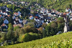 Images Dated 19th October 2014: Germany, Baden-Wurttemburg, Stuttgart-Uhlbach, vineyards above Unter-turkheim, fall
