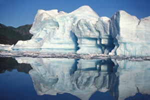 giant icebergs in Bear Glacier lake, southcentral Alaska giant icebergs in Bear Glacier lake, southcentral Alaska