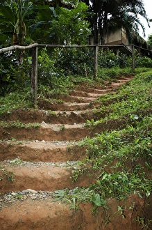 Goa, Panama. A pathway through the Embra Village in the rain forest of Panama Goa, Panama. A pathway through the Embra Village in the rain forest of Panama