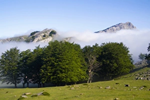 Gorbea Natural Park. Lekanda mount between the fog. Biscay province. Basque Country Gorbea Natural Park. Lekanda mount between the fog. Biscay province. Basque Country