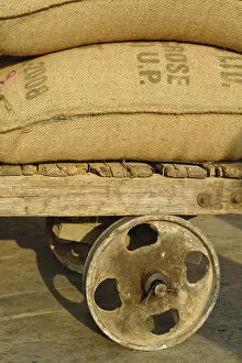 Images Dated 23rd March 2008: Grains in burlap sacks on primitive cart, train station, Udaipur, India
