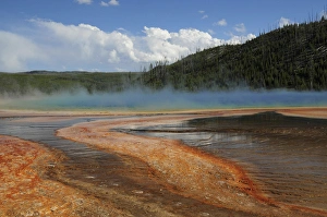 Grand Prismatic Spring (3), Middle Geyser Basin, Yellowstone National Park, Wyoming, USA Grand Prismatic Spring (3), Middle Geyser Basin, Yellowstone National Park, Wyoming, USA