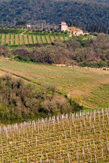 A grand stone winery stands above rolling vineyards in the Chianti area of Tuscany A grand stone winery stands above rolling vineyards in the Chianti area of Tuscany