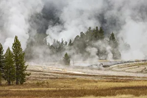 Grasses and mist in autumn meadow, Upper Geyser Basin, Yellowstone National Park, Wyoming Grasses and mist in autumn meadow, Upper Geyser Basin, Yellowstone National Park, Wyoming