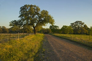 Gravel Road just to the Northwest of Cuero Texas Gravel Road just to the Northwest of Cuero Texas