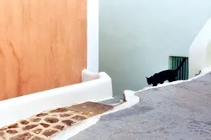 Greece, Santorini. Black cat descending stairway Greece, Santorini. Black cat descending stairway