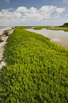 Images Dated 28th April 2010: Green Island Sanctuary on the Laguna Madre, Texas coast