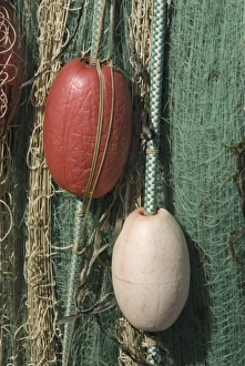 Green Nylon Fishing Net and White Buoys at Gooseberry Point, Bellingham, Washington, US Green Nylon Fishing Net and White Buoys at Gooseberry Point, Bellingham, Washington, US