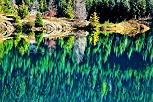 Green Trees Gold Lake Reflection Snoqualme Pass Washington Green Trees Gold Lake Reflection Snoqualme Pass Washington