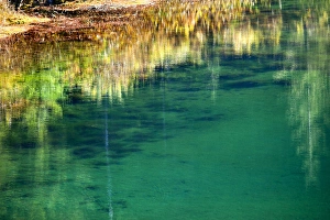 Green Yellow Moss Underwater Reflection Abstract Gold Lake Snoqualme Pass Washington Green Yellow Moss Underwater Reflection Abstract Gold Lake Snoqualme Pass Washington