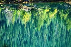 Green Yellow Trees Fall Reflection Abstract Gold Lake Snoqualme Pass Washington Green Yellow Trees Fall Reflection Abstract Gold Lake Snoqualme Pass Washington