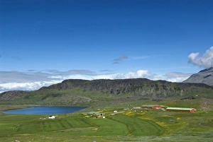 Greenland, Itilleq. One of the scattered sheep farms of Itilleq, Greenland Greenland, Itilleq. One of the scattered sheep farms of Itilleq, Greenland