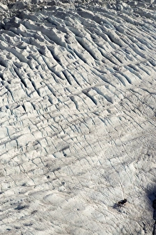 Group of Guided Glacier Walkers and Crevasses, Franz Josef Glacier, West Coast, South Island Group of Guided Glacier Walkers and Crevasses, Franz Josef Glacier, West Coast, South Island