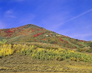 Group of homes impact prime wildlife habitat and often prevent access to public lands Group of homes impact prime wildlife habitat and often prevent access to public lands