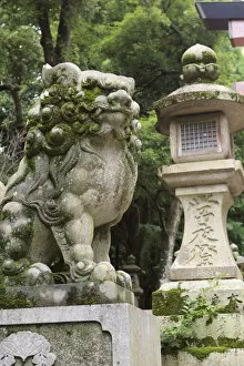 Images Dated 22nd June 2012: A guardian stone lion traditional stone lantern at the entrance to Kasuga-Taisha Shrine in Nara