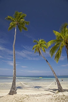 Hammock and palm trees, Plantation Island Resort, Malolo Lailai Island, Mamanuca Islands Hammock and palm trees, Plantation Island Resort, Malolo Lailai Island, Mamanuca Islands