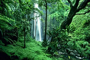 Water Fall Gallery: Hanakapiai Falls along the Na Pali Coast, Kauai, Hawaii