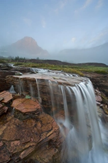 The Hanging Gardens at Logan Pass in Glacier National Park in Montana The Hanging Gardens at Logan Pass in Glacier National Park in Montana