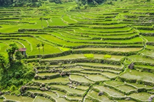 Hapao rice terraces part of the world heritage sight Banaue, Luzon, Philippines Hapao rice terraces part of the world heritage sight Banaue, Luzon, Philippines