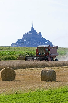 Harvesting wheat with Le Mont Saint Michel in the background in the region of Harvesting wheat with Le Mont Saint Michel in the background in the region of