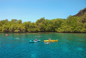 Hawaii, Big Island, Kona, Kealakekua Bay, Captain Cook Monument. Kayakers Hawaii, Big Island, Kona, Kealakekua Bay, Captain Cook Monument. Kayakers