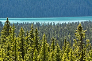 Hector Lake, Banff National Park, Alberta, Canada Hector Lake, Banff National Park, Alberta, Canada