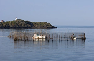 Herring Weir and Swallow Tail Lighthouse, Grand Manan Island, New Brunswick, Canada Herring Weir and Swallow Tail Lighthouse, Grand Manan Island, New Brunswick, Canada