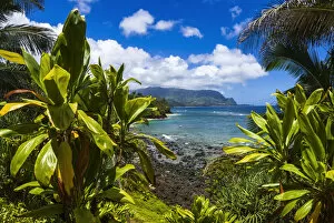 Hideaways Beach and the Na Pali Coast through tropical foliage, Island of Kauai