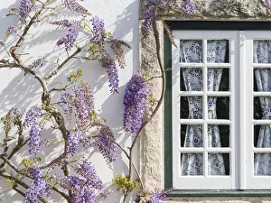Estremadura Gallery: Historic small town Obidos with a medieval old town. Tourist attraction north of Lisboa