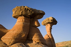 Hoodoos along the Toadstool Trail in the Grand Staircase Escalante National Monument Hoodoos along the Toadstool Trail in the Grand Staircase Escalante National Monument