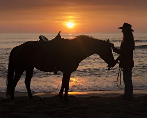 Horse and rider, sunrise, Vilano Beach, Florida, MR Horse and rider, sunrise, Vilano Beach, Florida, MR