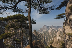 Images Dated 27th March 2011: Huang Shan landscape, China