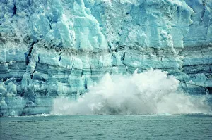 Glacier Gallery: The Hubbard Glacier is tidewater glacier that calves frequently, tongass National Forest