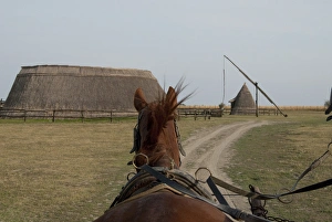 Hungary, Kalocsa, Puszta region. Traditional Hungarian horse ranch. Tourist wagon Hungary, Kalocsa, Puszta region. Traditional Hungarian horse ranch. Tourist wagon